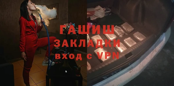 гидра Грязи