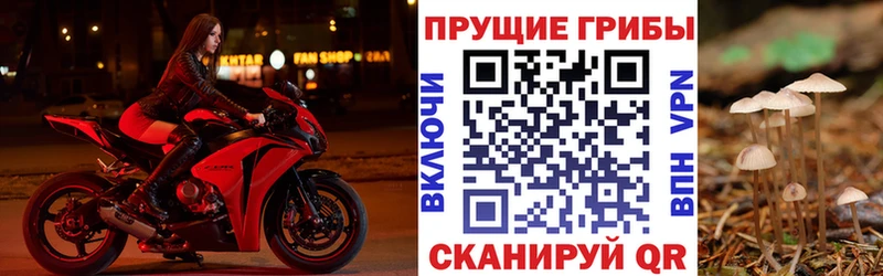 Псилоцибиновые грибы мухоморы  что такое   Ак-Довурак 